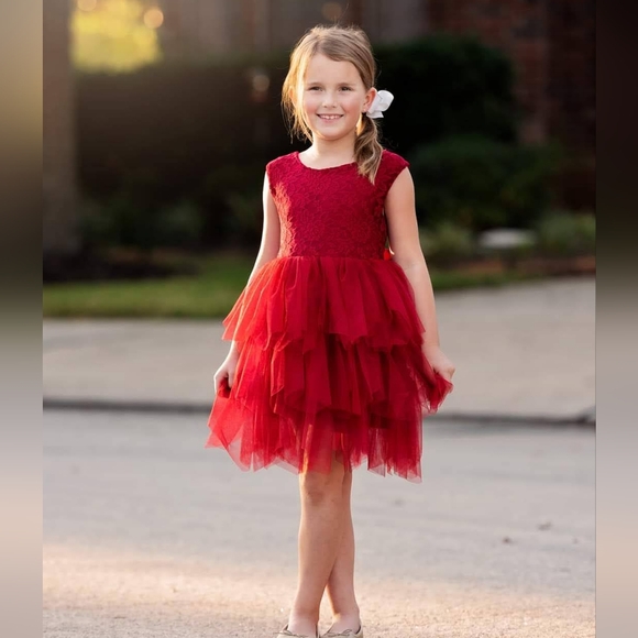Lace and tulle tutu dress Christmas dress holiday dress birthday dress - Picture 1 of 8